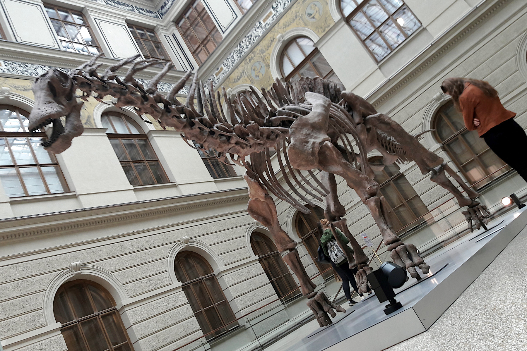 NÁRODNÍ MUZEUM - PRAHA NOVÉ MĚSTO