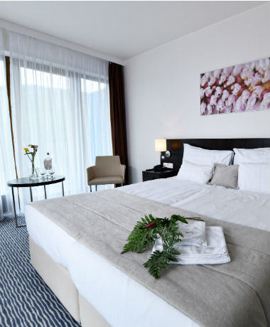 WELLNESS HOTEL VISTA DOLN MORAVA