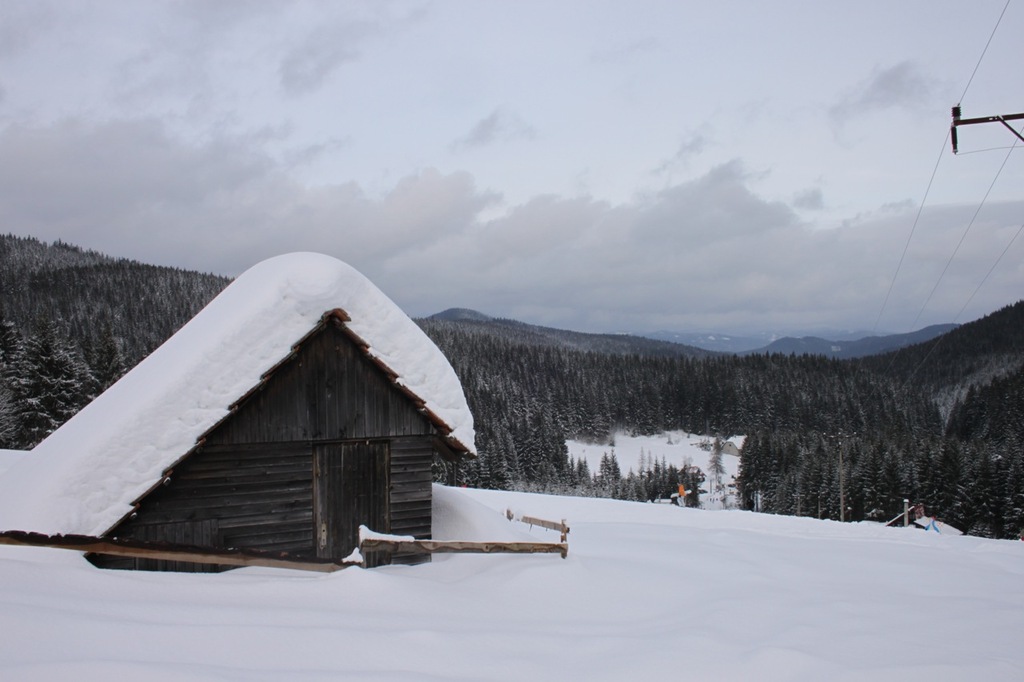 LYASK AREL SKI MEZIVOD 