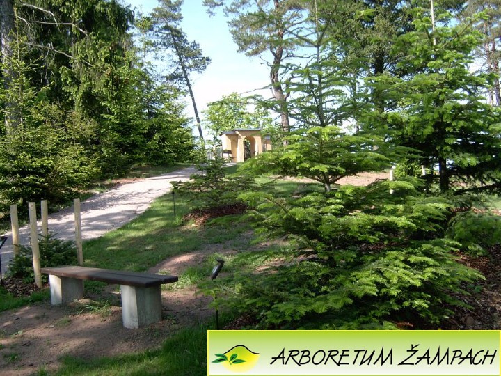 ARBORETUM AMPACH